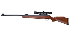 Beeman 10622GP Dual Caliber Gas Ram Air Rifle w/ 6x40mm Scope (.177 & .22 Cal.)