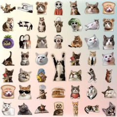 100Pcs Cat Stickers | Cute Funny Meme Bulk | Waterproof PVC Vinyl Stickers for W