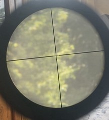 CZ 200 T Air Rifle 177