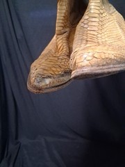 Tony Lama Snakeskin / Leather (?) Western Cowboy Boots Nice Designs