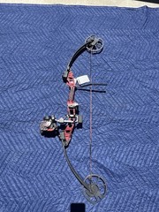 Cajun Sucker Punch Compound Bow 50 lb RH 17-31in Draw Red/Black Aluminum