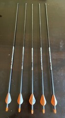 Bear Archery Vast Right Hand Compound Bow Hunting Package