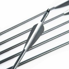 12Pcs 30″ Fiberglass Archery Arrows Spine 500 with Removable Tips Hunting Target