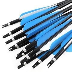 AMEYXGS 12 Pack 30 Inch Archery Aluminum Arrows Spine 300 Hunting Arrows Targ…
