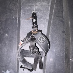 Scott Archery Echo