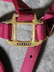 Weaver Leather Nylon Horse Halter Red 1 Inch Average Horse 800 To 1100 Pounds