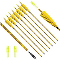Carbon Practice Arrows 31″ for Compound Bow