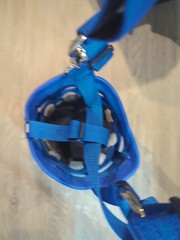 Horse Grazing Muzzle & Anti-Bite Halter, Large Size Blue Nylon
