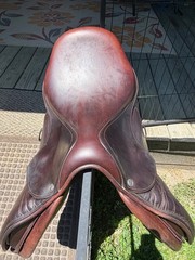 Voltaire Palm Beach Saddle 16.5 inch Full Buffalo Pro Panels 1A Flap