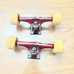 Thunder Tucks Trucks And Wheels With Flowers