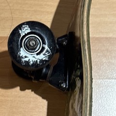 ORGANIKA Adelmo Jr skateboard deck Trucks Wheels Amazon Jungle 31” Nice!