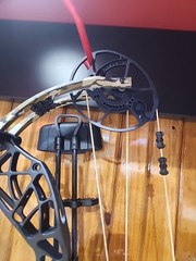 Bear Whitetail INT Bow Package RTH 45-60lbs Black With Bottomland Limbs 335fps