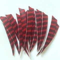 Archery Turkey Feather Right Wing 5in Barred Fletches Hunting Arrows Art Craft