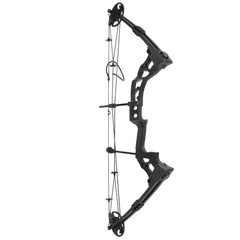 Compound Bow Arrow Set 0-70lbs Adjustable Archery Bow Hunting Shooting 320fps US