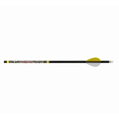 Carbon Archery Arrows for Hunting and Target Practice with Replaceable Points