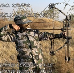 Archery Compound Bow Set 20-70 LBS Hunting Compound Bow for Archery Hunting