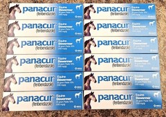 Panacur Equine Paste Horse Dewormer 25 grams, 12 tube lot