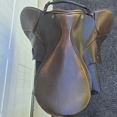 Avante All Purpose English Schooling Saddle 19″
