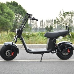 Citycoco 18 Inch Fat Tire Adult Electric Scooter 3000W Motor Max Speed 33MI USA