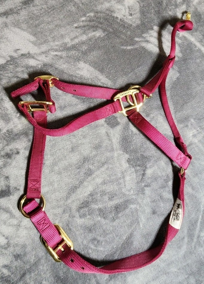 Weaver Leather Nylon Horse Halter Red 1 Inch Average Horse 800 To 1100 Pounds
