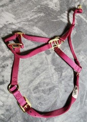 Weaver Leather Nylon Horse Halter Red 1 Inch Average Horse 800 To 1100 Pounds