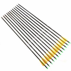 12pcs 30 inch Archery Fiberglass Arrows SP500 Hunting for Compound & Recurve Bow