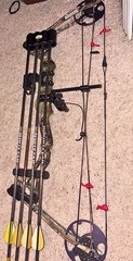 Bear Whitetail II Compound Bow Youth and Women Right Hand with Upgrades and Case