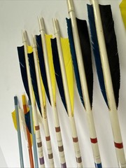 Browning Arrows, Lot 10 – 32.5in And 27.5in – With Carry Case