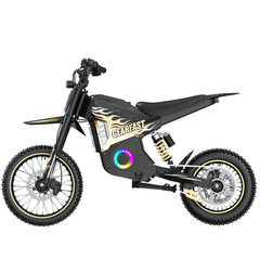 ELECTRIC DIRT BIKE 3000W PEAK FOR ADULT ELECTRIC MOTORCYCLE E-MOUTAINBIKE 40MPH