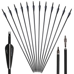 55lbs 53″ Takedown Recurve Bow Carbon Arrows Kit Archery Hunting Shooting Target