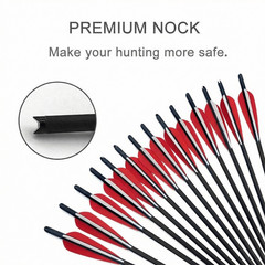 12x 20 inch Carbon Crossbow Bolts OD 8.8mm Archery Arrows / 100 Grain Broadhead