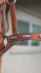 Vintage MacPherson Los Angeles Show Halter North & Judd Buckles Silver Overlay