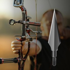 Broadheads 100/120/125/150 Grain Traditiona Archery Arrow Tips for Compound, …