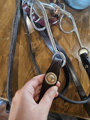 Horse Western Silver Show Headstall, Reins, Bit Set