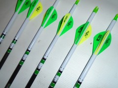 @NEW@ 6 Easton Axis 5mm 340 Carbon Hunting Arrows! Dip/Crested & Blazer Vanes