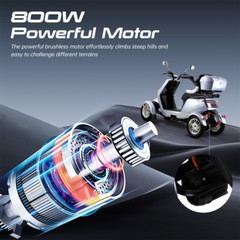 4 Wheels Electric Mobility Scooter 800W 60V20A Heavy Duty All Terrain for Senior