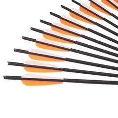 12Pcs 20 INCH Crossbow Bolts OD 8.8mm Carbon Crossbow Archery Arrows Screw Tips