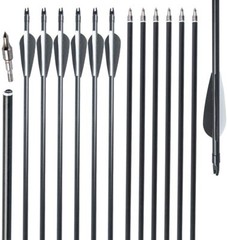 12Pcs 30″ Fiberglass Archery Arrows Spine 500 with Removable Tips Hunting Target