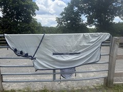 75” Bucas Buzz Off Full Neck Horse Fly Sheet w/Belly Protection – Used