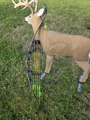 Hoyt Buffalo Fred Eichler Signature Series Recurve 42lb