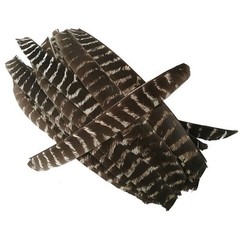 50X Archery Full Length Arrow Feathers Fletches Turkey Fletching Shaft DIY RW LW