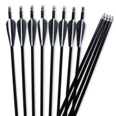 12Pcs 30Inch Fiberglass Arrows Turkey Feather Fit For Recurve bow/Compound bow