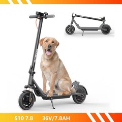 600W Adult Electric Scooter Long Range Folding E-Scooter CityCommuter 10″ Tires