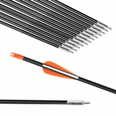 12Pcs 31inch Fiberglass Practice Arrows for Archery Target Shooting Recurve Bows