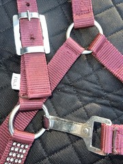 2-Ply Nylon Horse Halter w/ Crystal Rhinestones. Heavy Metal Buckles & Snap- New