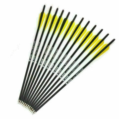 12Pcs 17″/20″/22″ Carbon Arrows OD 8.8mm Crossbow Bolts or Quiver Target Hunting