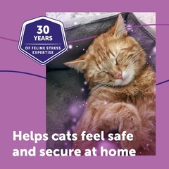 Feliway Classic Cat Calming Diffuser Refill 1 Pack 30 Day Cat Pheromone