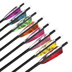 6/12 Pcs Archery Carbon Arrows 500 Spine Practice Hunting Arrows 28/30/31 Inc…