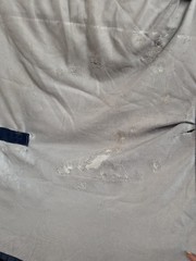 78” Bucas Buzz Off Full Neck Horse Fly Sheet – Used