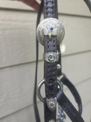 Black Leather Miniature Horse Western Show Halter & Lead – B size – BLUE stones